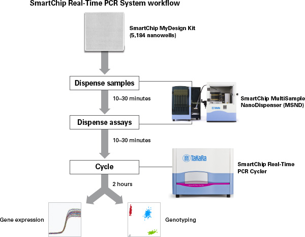smartchip real time pcr system overview real time pcr