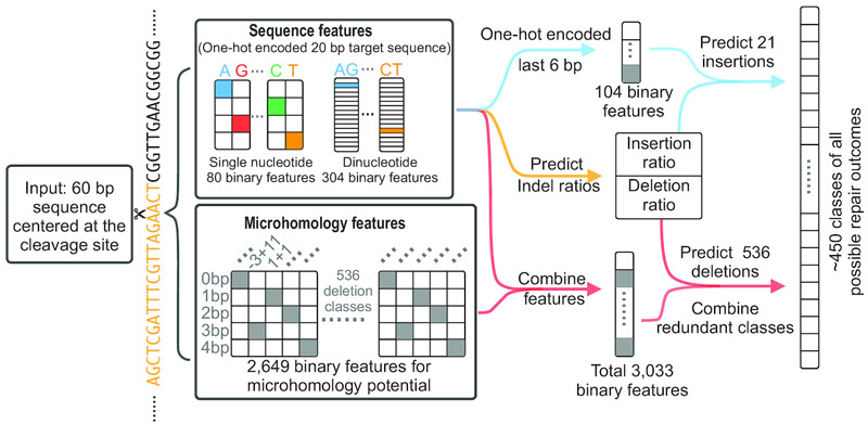 Machine learning for predicting gene editing outcomes