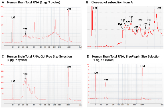small rna seq library profiles before and after size selection