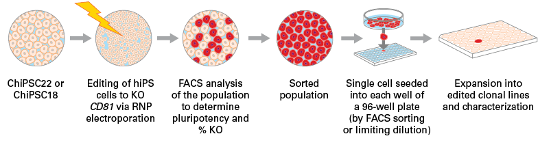 Editing Hips Cells Using Electroporation Editing Hips Cells Using Electroporation