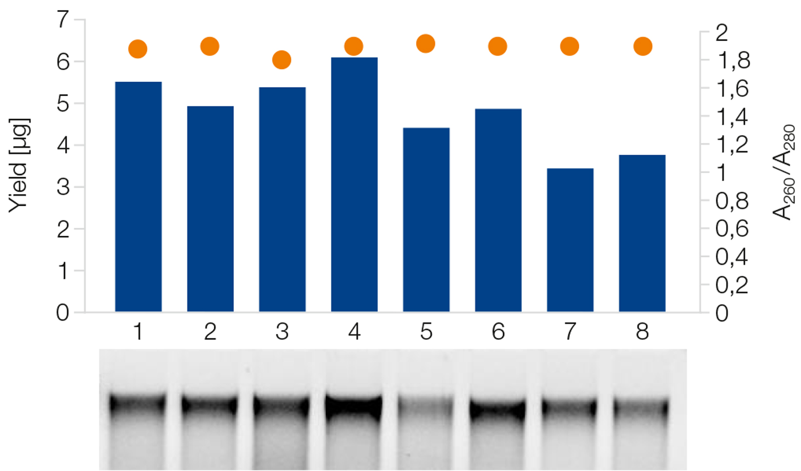 High-quality DNA from rat stool samples processed using NucleoSpin 96 DNA Stool