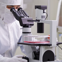 Clinical-grade stem cell services