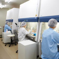 Quality testing team