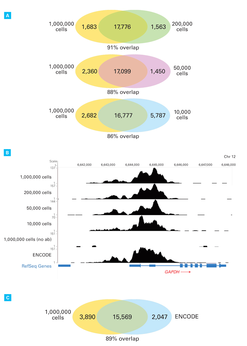 ligation free chip seq library preparation chip sequencing