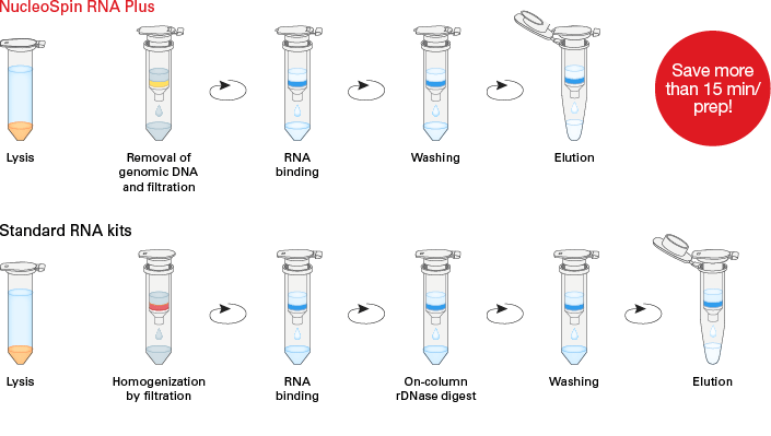 RNA purification using NucleoSpin RNA Plus compared to a standard kit