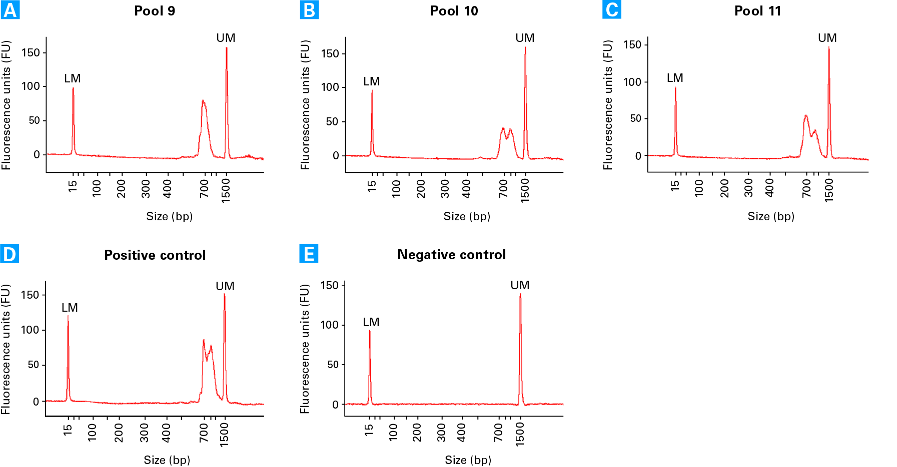 Bioanalyzer traces from example TCR libraries