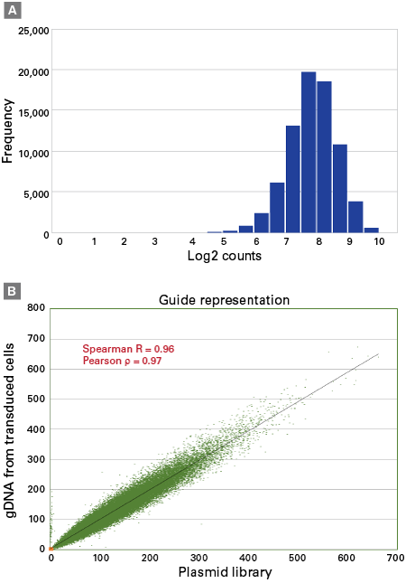 Representation of sgRNAs within the Guide-it CRISPR Genome-Wide sgRNA Library System