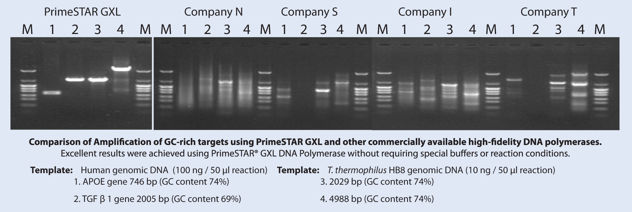 Examples of product yield on GC-rich templates: comparison of PrimeSTAR GXL DNA Polymerase with four other commercially available high-fidelity DNA polymerases