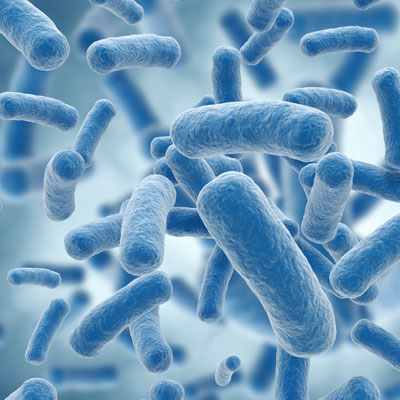 Food pathogens