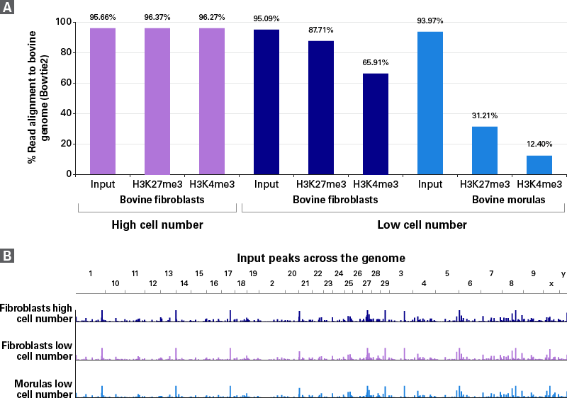 Read alignment to the bovine genome