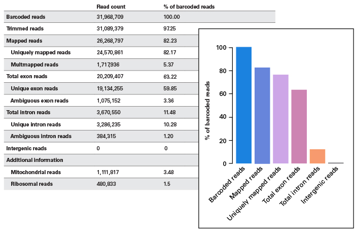 Analysing Your Efforts Online – Cogency