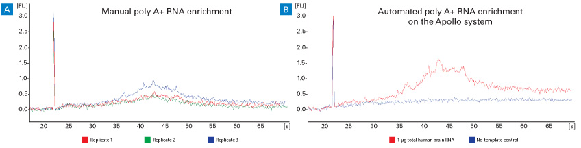 Poly A+ RNA enrichment on the SMARTer Apollo system produces better quality and yield as compared to manual poly A+ RNA enrichment.