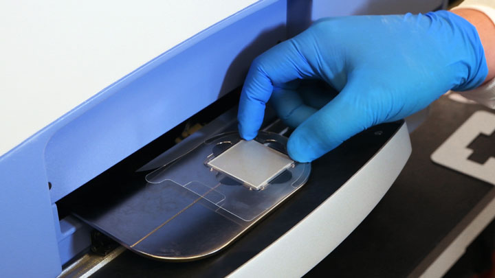 Performing the real-time PCR run