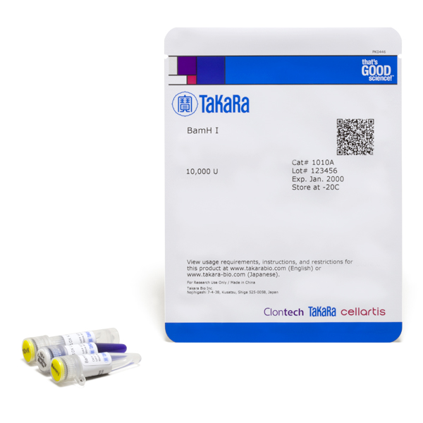 Bamhi Restriction Enzyme