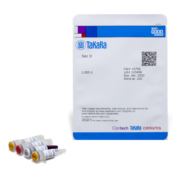 Sacii Restriction Enzyme