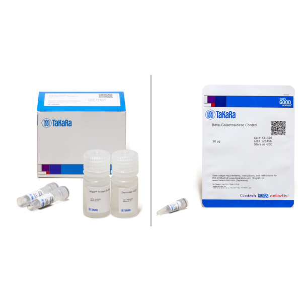 Standard Transfer Tank for Proteins and Nucleic Acids (TE42)