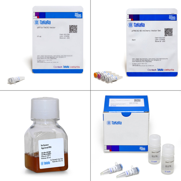 Bidirectional Tet-On 3G inducible expression systems