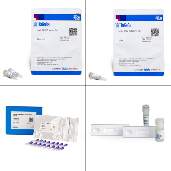 631352: Lenti-X Tet-On 3G Inducible Expression System (EF1alpha, mCherry)