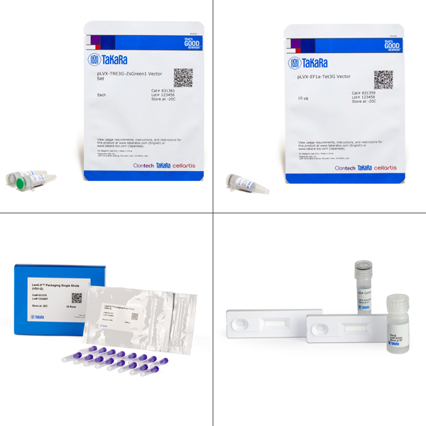 631353: Lenti-X Tet-On 3G Inducible Expression System (EF1alpha, ZsGreen1)