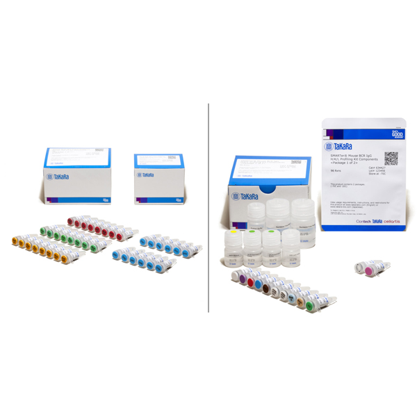 634424: SMARTer Mouse BCR IgG H/K/L Profiling Kit