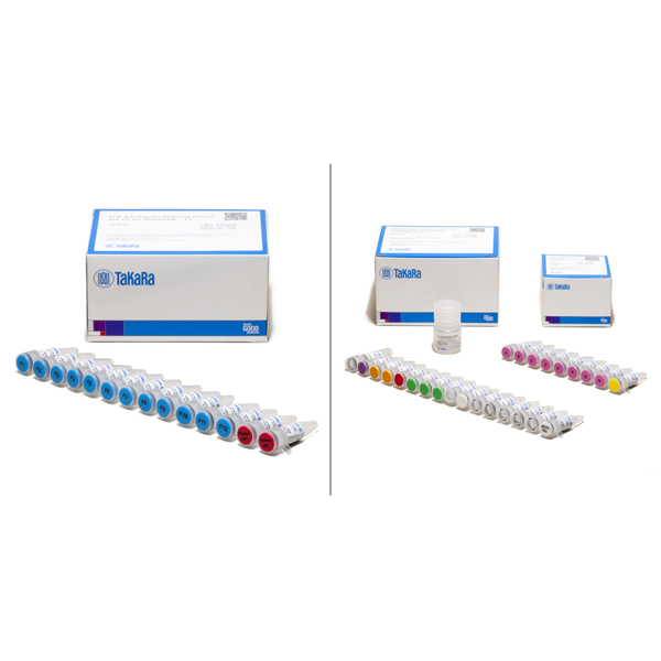 634431: SMARTer Human scTCR a/b Profiling Kit
