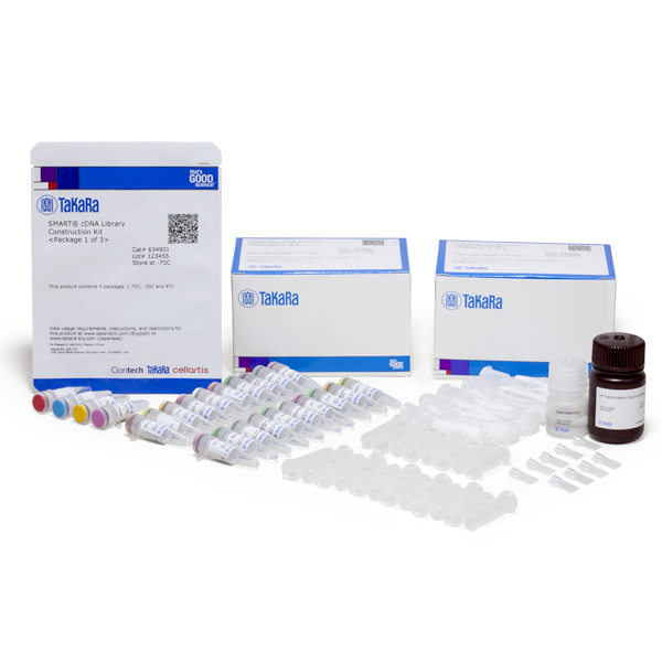 634901: SMART cDNA Library Construction Kit