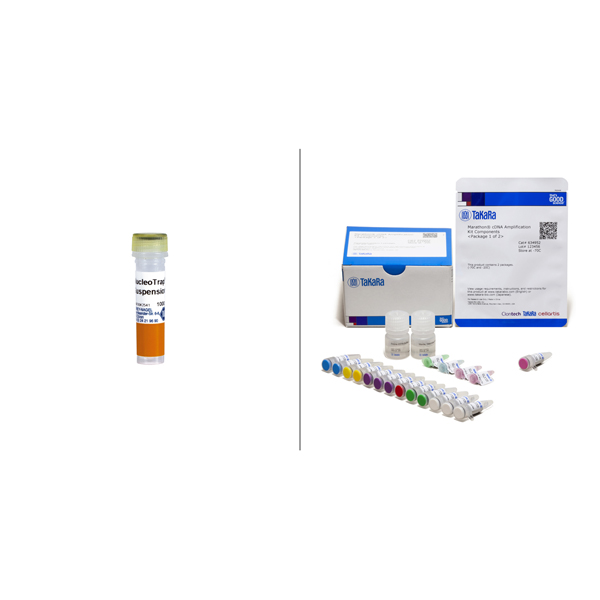 634913: Marathon cDNA Amplification Kit