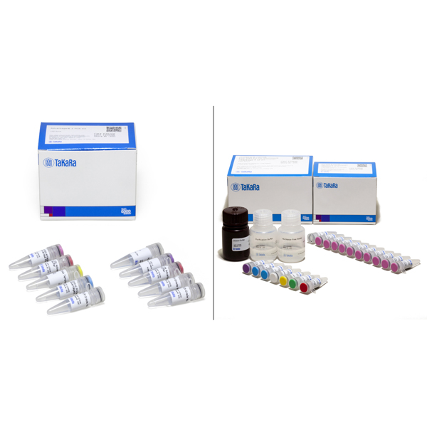 634936: SMARTer Ultra Low RNA Kit for Illumina Sequencing