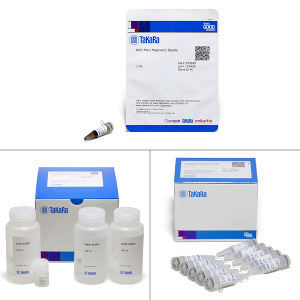 635698: Magnetic Myc Immunoprecipitation Kit