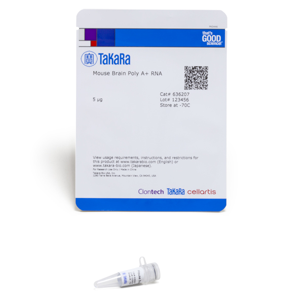 636207: Mouse Brain Poly A+ RNA