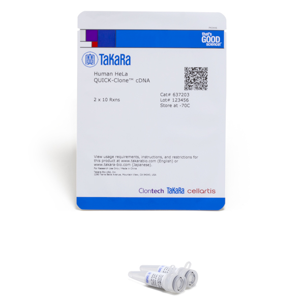 637203: Human HeLa QUICK-Clone cDNA