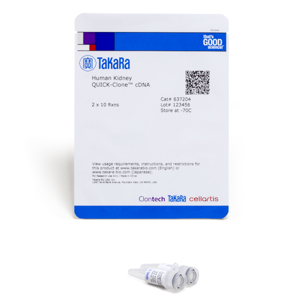 637204: Human Kidney QUICK-Clone cDNA
