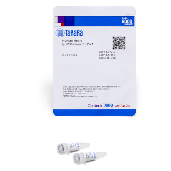637213: Human Heart QUICK-Clone cDNA