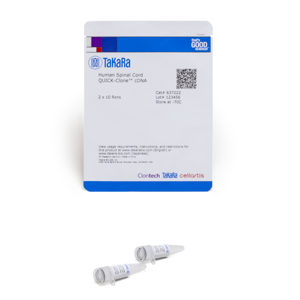 637222: Human Spinal Cord QUICK-Clone cDNA