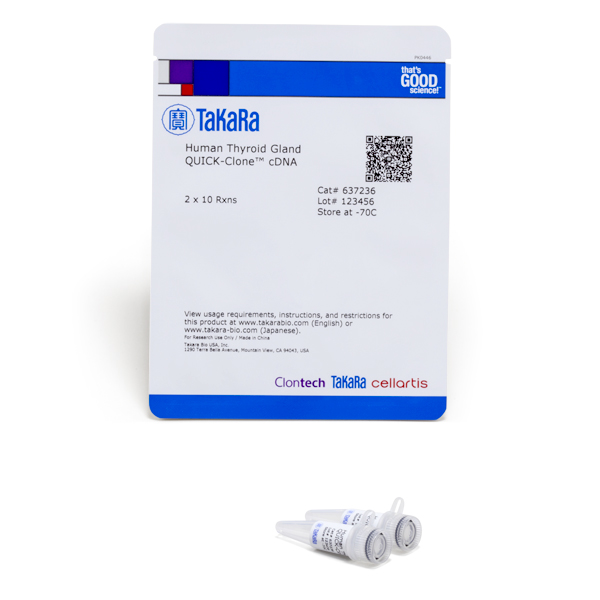 637236: Human Thyroid Gland QUICK-Clone cDNA