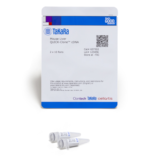 637302: Mouse Liver QUICK-Clone cDNA