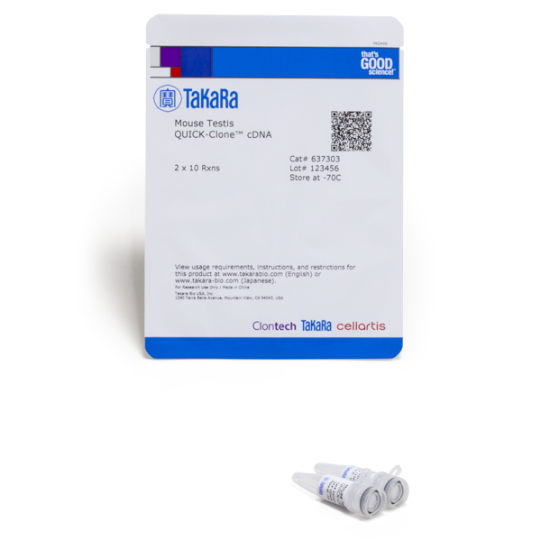 637303: Mouse Testis QUICK-Clone cDNA