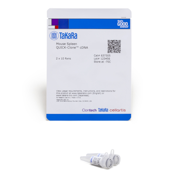 637305: Mouse Spleen QUICK-Clone cDNA