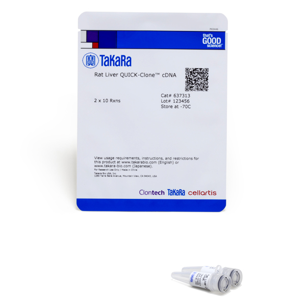 637313: Rat Liver QUICK-Clone cDNA