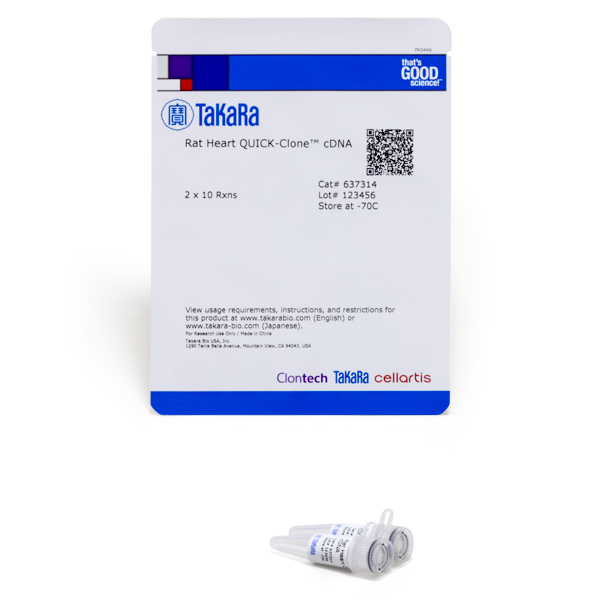 637314: Rat Heart QUICK-Clone cDNA