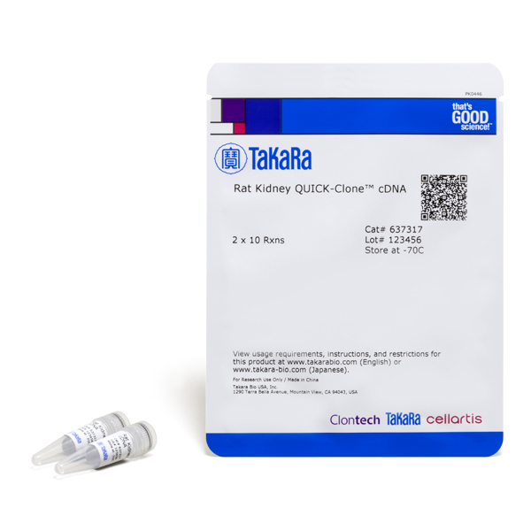 637317: Rat Kidney QUICK-Clone cDNA