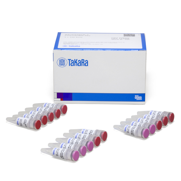 639202: Advantage 2 Polymerase Mix