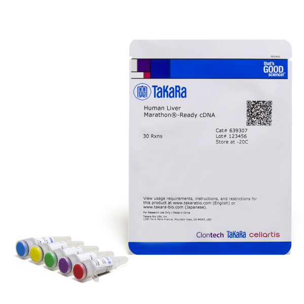 639307: Human Liver Marathon-Ready cDNA