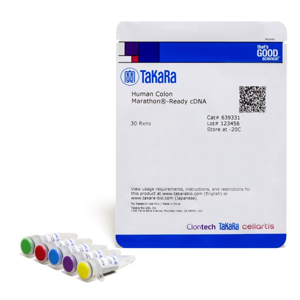 639331: Human Colon Marathon-Ready cDNA