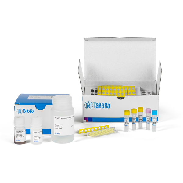 640101: PrepX DNA Library Kit (400075)