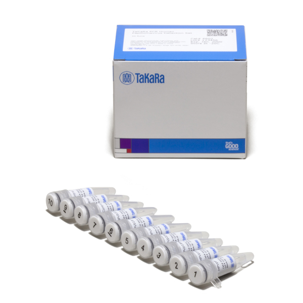 takara pcr human papillomavirus typing set