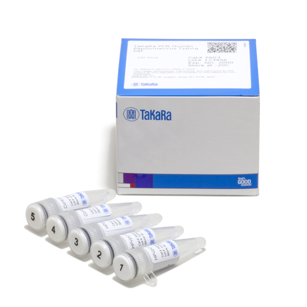 takara pcr humán papillomavírus tipizáló készlet)