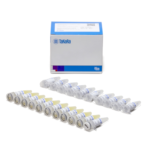 9122: Chaperone Competent Cells pGro7/BL21