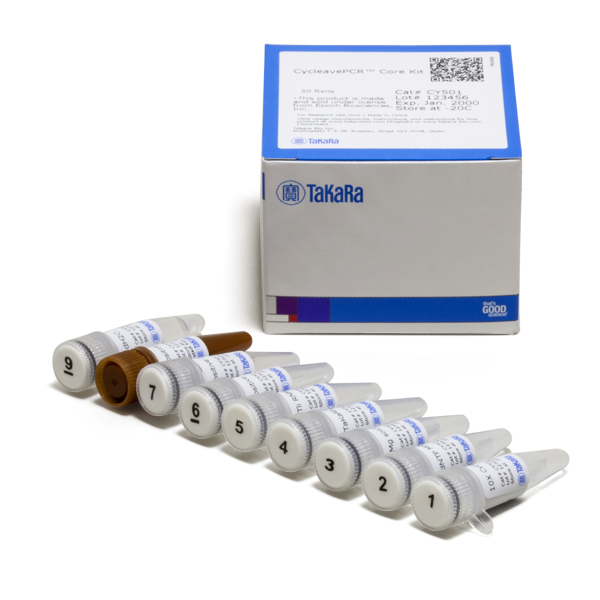 CycleavePCR Core Kit and primer set for real-time PCR