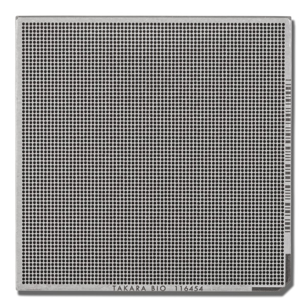 640183: ICELL8 250v Chip